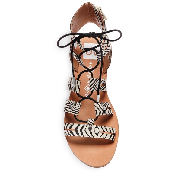 dv Gracelyn Lace Up Gladiator Sandals Zebra New - Picture 3 of 7